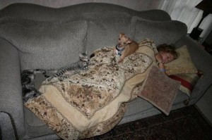 Four sleepers - Rosie, Sammie, Teddy, and Tina
